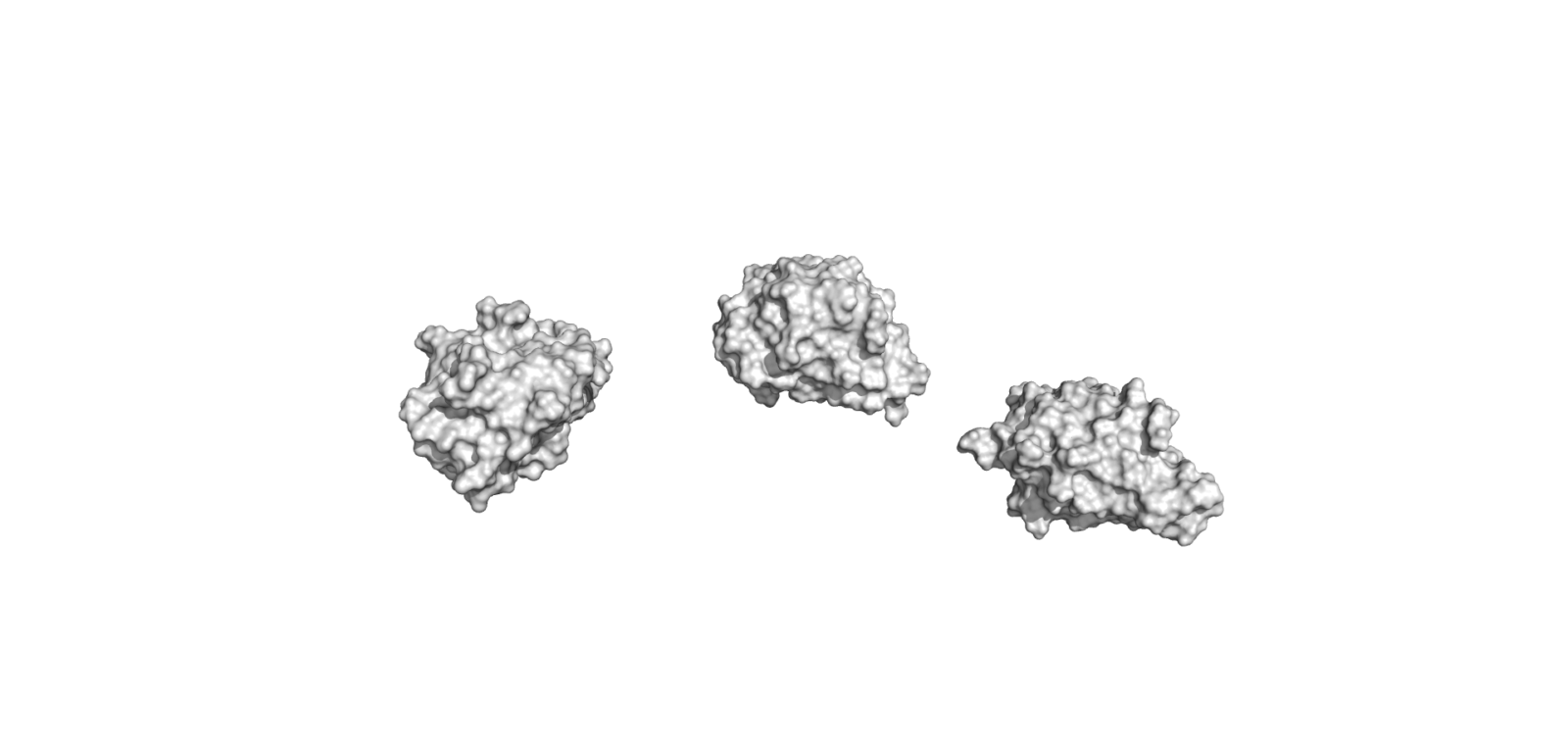 Monomer Single Domain Antibodies